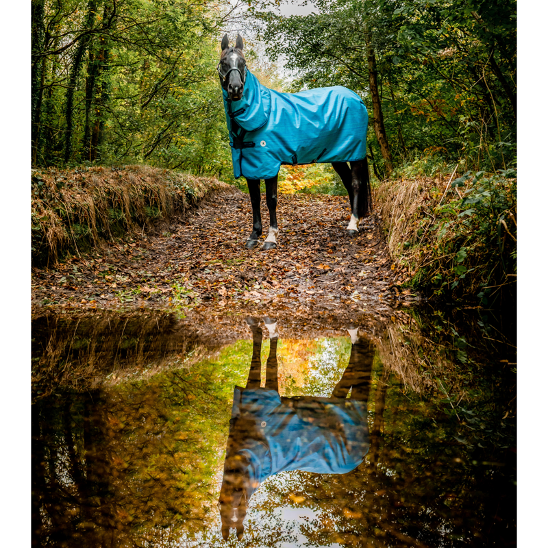 Horseware Amigo Hero 900 Revive Plus 50g Turnout Rug - Ocean Blue/Navy/Electric Blue-4